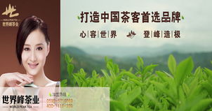 多元化经营，打造茶产业全链条——公司业务介绍